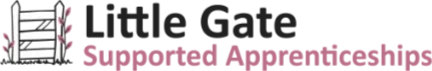 Supported Apprenticeships